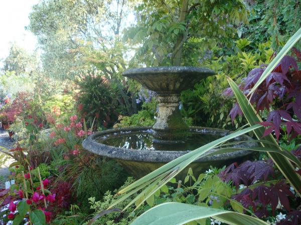 Parcourez notre sélection d’arbustes d’ornement chez Pépinières Rouberty : persistants ou caduques, à fleurs ou feuillage décoratif, pour haies, massifs ou terrasses. Sublimez vos espaces verts avec des buissons adaptés à tous les jardins.