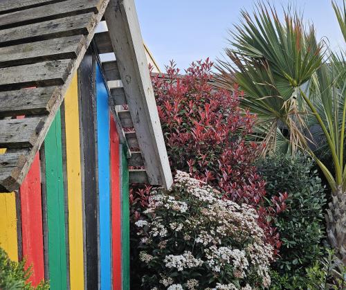 Découvrez les dernières actualités et promotions des Pépinières Rouberty à La Rochelle : ventes de plantes, arbres, arbustes et conseils jardin professionnels.