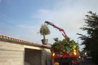 Possibilité de grutage 