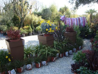 Envie de renouveau pour votre jardin ?