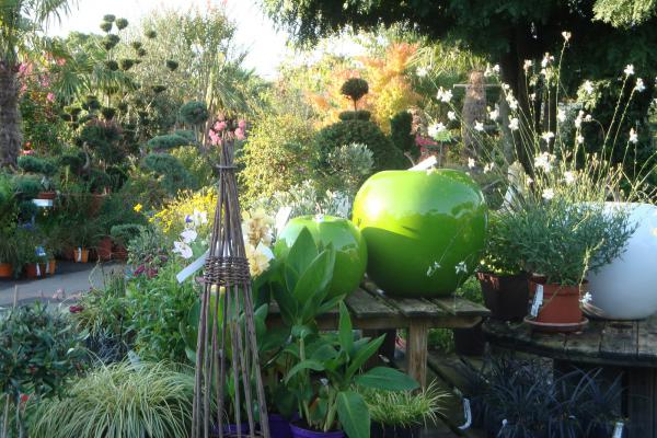 Explorez notre sélection de plantes vivaces, graminées décoratives et plantes aquatiques — parfaites pour massifs, jardins, bassins et terrasses. Donnez vie à vos espaces verts avec des végétaux adaptés à tous les styles de jardin.