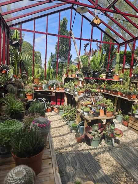 Consultez la politique de confidentialité de Pépinières Rouberty : données personnelles, cookies, respect de la vie privée et conditions d’utilisation. Transparence et sécurité pour vos informations.