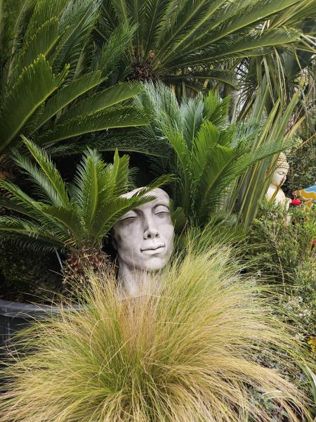 Consultez la politique de confidentialité de Pépinières Rouberty : données personnelles, cookies, respect de la vie privée et conditions d’utilisation. Transparence et sécurité pour vos informations.