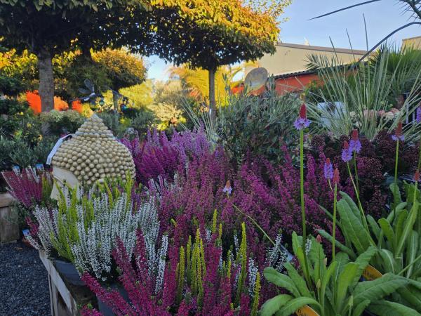 Préparez votre jardin avec les Pépinières Rouberty à Dompierre sur mer : arbres, arbustes, fruitiers et conseils pour vos plantations.